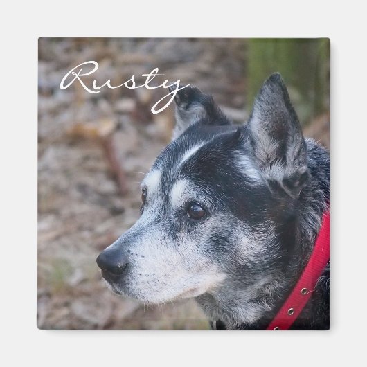 Erstellen Sie Ihren eigenen Lieblingsmagnet Magnet (Vorne)