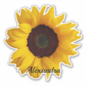 Erstellen Sie Ihren eigenen Personalisierten Sonne Aufkleber (Vorderseite)