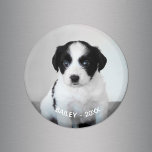 Erstellen Sie Ihren eigenen Pet-Foto-Namen und das Magnet<br><div class="desc">Erstellen Sie Ihren eigenen niedlichen, benutzerdefinierten Magneten mit Ihrem Begleiter-Foto und Text. Fügen Sie einfach Ihr Hund/Katze/Furbaby Foto, Name und Jahr in der Sidebar hinzu. Der Text wird am unteren Rand Ihres Fotos in gebogener weißer Schrift angezeigt. Ein großartiges kleine Geschenk für Familienliebhaber und ein wunderbarer Sake für Sie. Magnet...</div>
