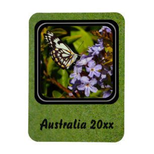 Erstellen Sie Ihren eigenen Reise-Foto-Magneten Magnet