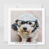 Erstellen Sie Ihren eigenen Single Foto Gallery mi (Vorderseite)