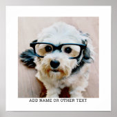 Erstellen Sie Ihren eigenen Single Foto Gallery mi Poster (Vorne)