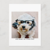 Erstellen Sie Ihren eigenen Single Foto Gallery mi Postkarte (Vorderseite)