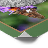 Erstellen Sie Ihren Foto-Schmetterling auf einer B Poster (Ecke)