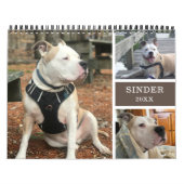 Erstellen von Hunde-Erinnerungen Personalisiert Kalender (Titelbild)