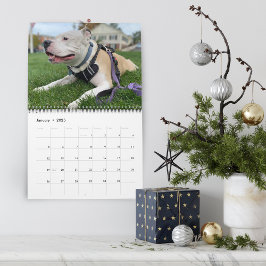 Erstellen von Hunde-Erinnerungen Personalisiert Kalender
