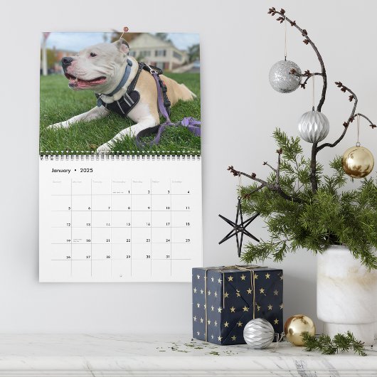 Erstellen von Hunde-Erinnerungen Personalisiert Kalender