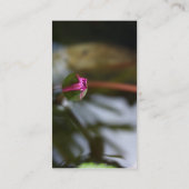 Erster Anblick/knospenLotus Visitenkarte (Rückseite)