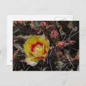 Erster Blossom Postkarte (Vorne/Hinten)