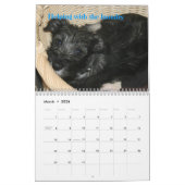 Erster der Standardschnauzer-Kalender 2009 des Kalender (Mär 2026)