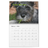 Erster der Standardschnauzer-Kalender 2009 des Kalender (Feb 2026)
