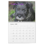Erster der Standardschnauzer-Kalender 2009 des Kalender (Jan 2027)