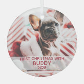 Erster Hund Weihnachts-Foto und Name niedlich Ornament Aus Glas (Vorderseite)