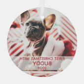 Erster Hund Weihnachts-Foto und Name niedlich Ornament Aus Glas (Rückseite)