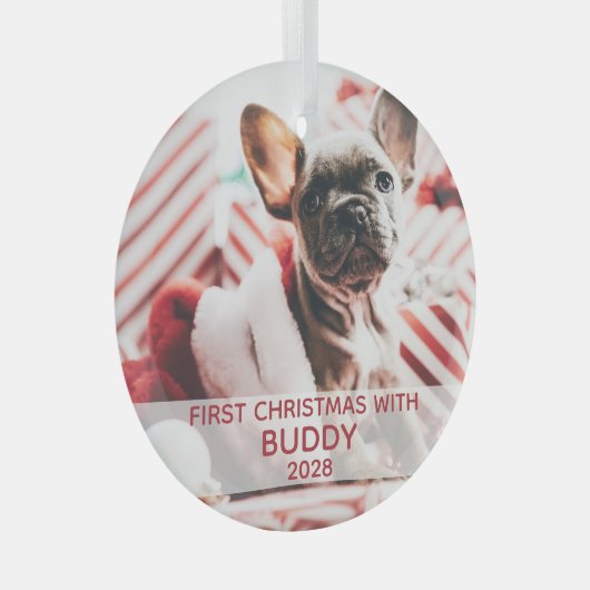 Erster Hund Weihnachts-Foto und Name niedlich Ornament Aus Glas (Vorderseite Rechts)