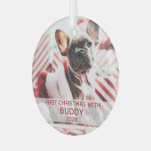 Erster Hund Weihnachts-Foto und Name niedlich Ornament Aus Glas (Vorderseite links)