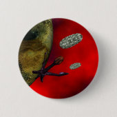 erster Kontakt Button (Vorderseite)