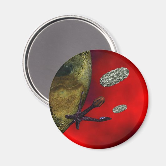 erster Kontakt Magnet (Vorderseite/Rückseite)