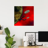 erster Kontakt Poster (Heimbüro)