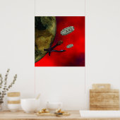 erster Kontakt Poster (Küche)