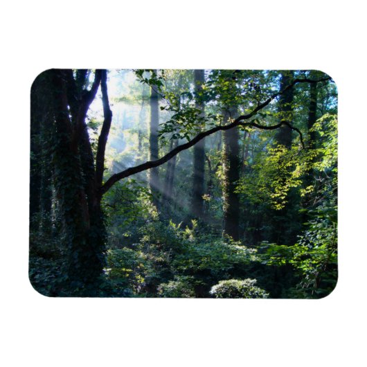 Erster leichter flexibler Magnet (Horizontal)