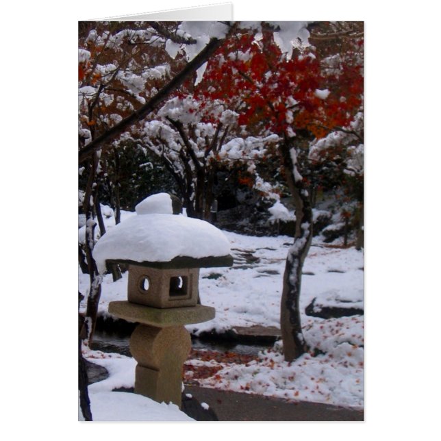 Erster Schnee (Vorne)