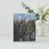 Erster Schnee 2009 Postkarte (Stehend Vorderseite)
