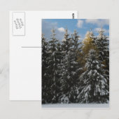 Erster Schnee 2009 Postkarte (Vorne/Hinten)