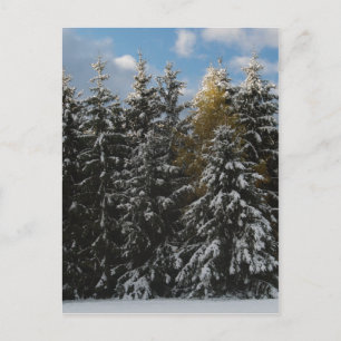 Erster Schnee 2009 Postkarte