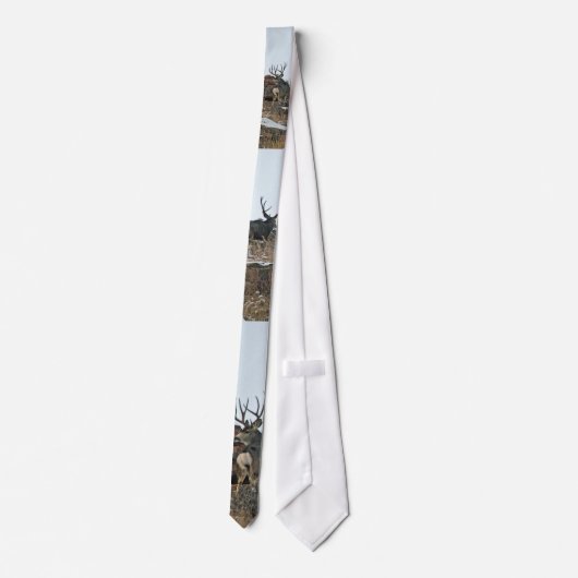 Erster Schnee der Dollarrotwild Krawatte (Rückseite)