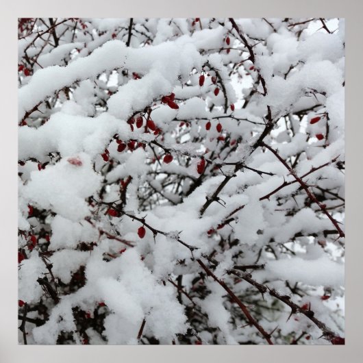 erster Schnee Poster (Vorne)