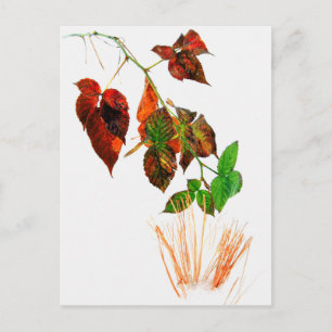 Erster Schnee Postkarte