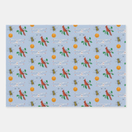 Erster Staaten in Flight North Carolina Geschenkpapier Set