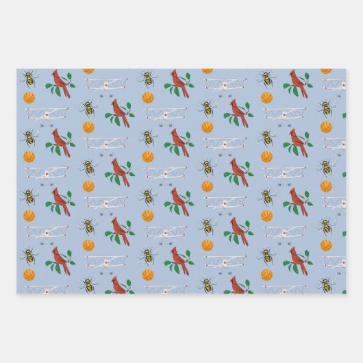 Erster Staaten in Flight North Carolina Geschenkpapier Set (Vorderseite)