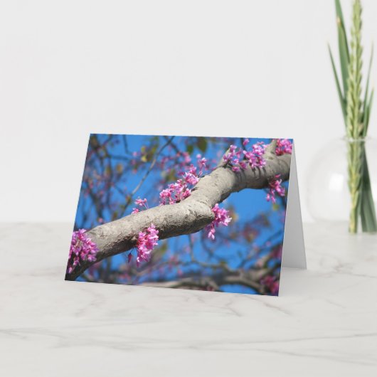 Erster Tag des Frühlinges Karte (Vorderseite)