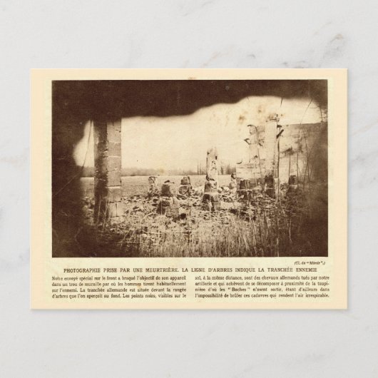 Erster Weltkrieg, Frankreich, Bäume markieren fein Postkarte (Vorderseite)