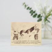 Erster Weltkrieg, Schwarz gestrichene weiße Pferde Postkarte (Stehend Vorderseite)