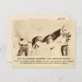 Erster Weltkrieg, Schwarz gestrichene weiße Pferde Postkarte (Vorne/Hinten)