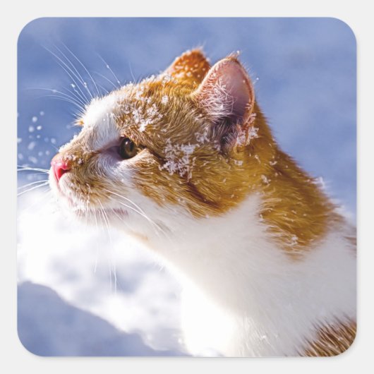 erster Winter Quadratischer Aufkleber (Vorderseite)