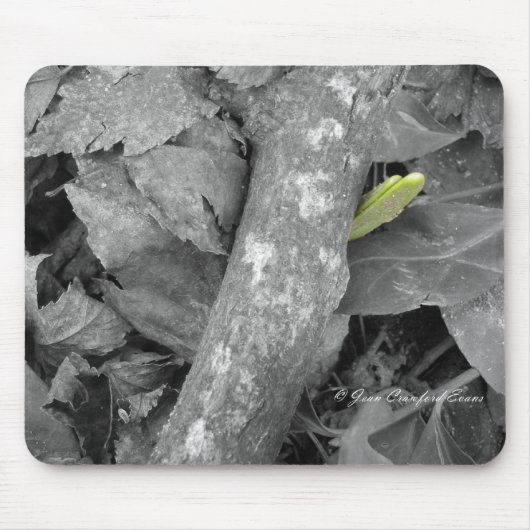 erstes Frühjahrszeichen Mousepad (Vorne)