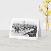 Erstes Hundeteam Alaska 1910 Karte (Gelbe Blume)