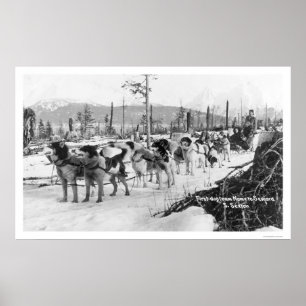 Erstes Hundeteam Alaska 1910 Poster