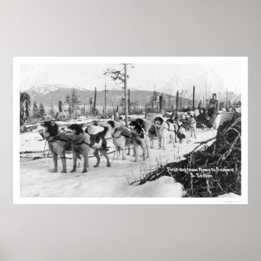 Erstes Hundeteam Alaska 1910 Poster (Vorne)