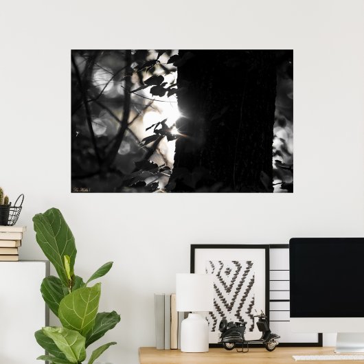 Erstes Licht Bokeh im Waldposter Poster (Heimbüro)