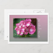 Erstes Licht mit Hydrangeas Postkarte (Vorne/Hinten)