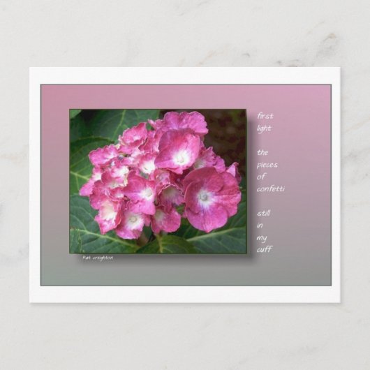 Erstes Licht mit Hydrangeas Postkarte (Vorderseite)