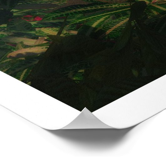 Erstes Licht Poster (Ecke)