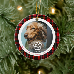 Erstes Weihnachten Neues Zuhause Hund Foto Monogra Keramik Ornament