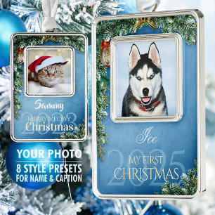 Erstes Weihnachts-Tierfoto-Andenken, Azure-Dekor - Rahmen-Ornament Silber