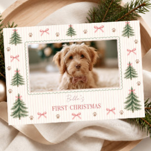 Erstes Weihnachtsfoto des Hundes Feiertagskarte